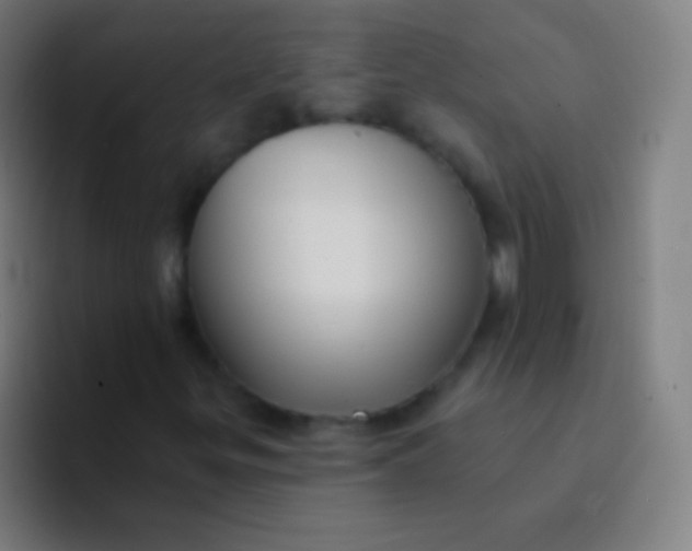 X0000094351299200711162022