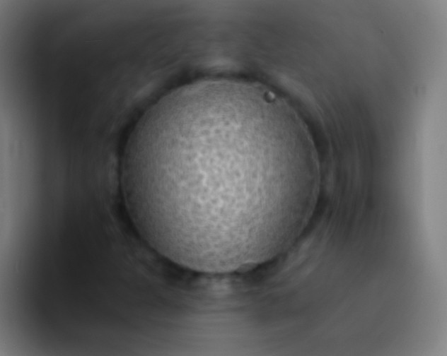 X0000094351301200711162022