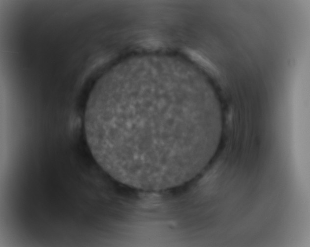 X0000094351302200711162022