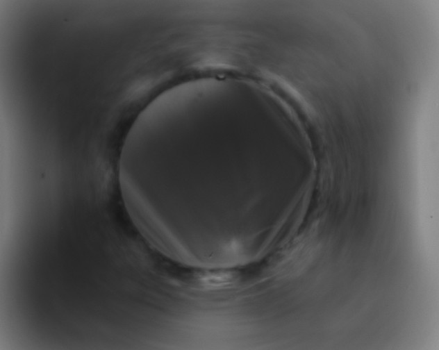 X0000094351303200711162022