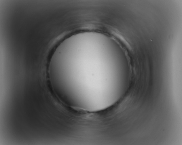 X0000094351304200711162022