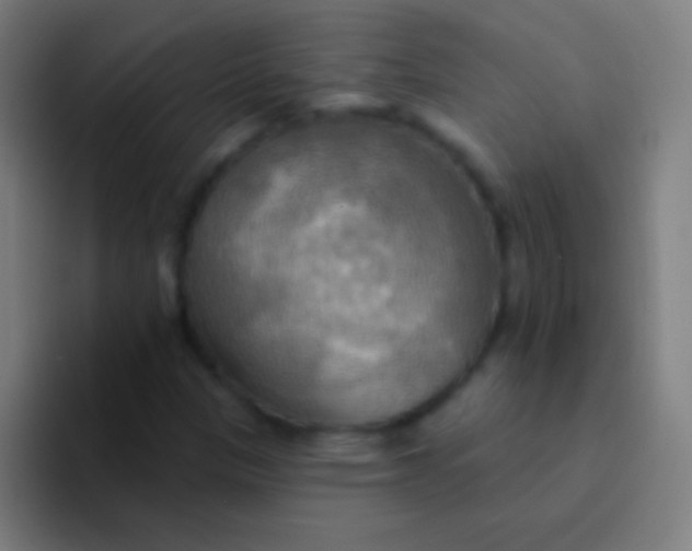 X0000094351305200711162022