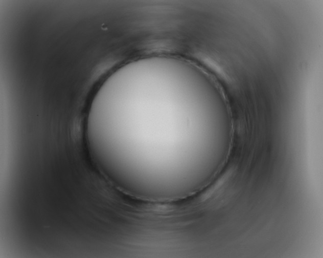 X0000094351309200711162022