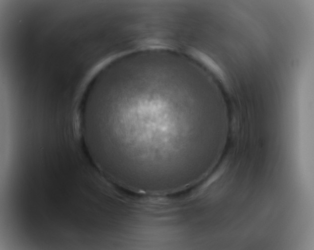 X0000094351310200711162022