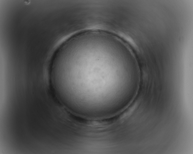 X0000094351311200711162022