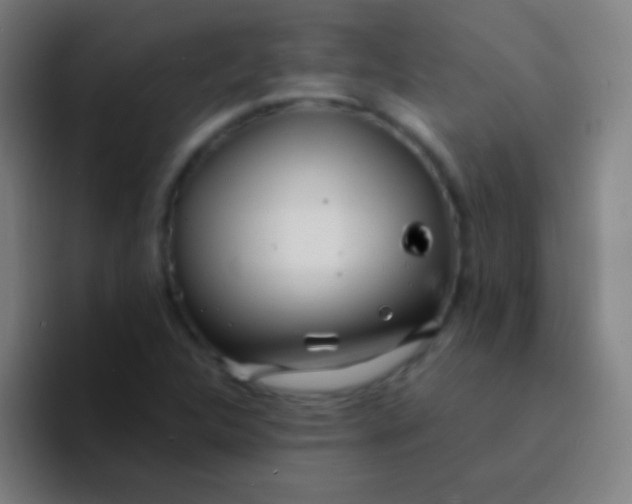 X0000094351312200711162022