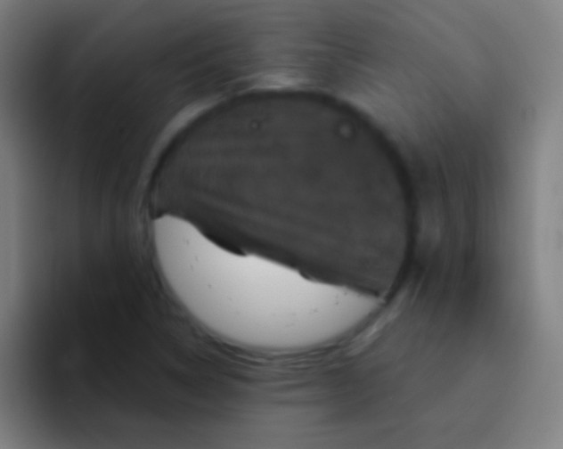 X0000094351314200711162022