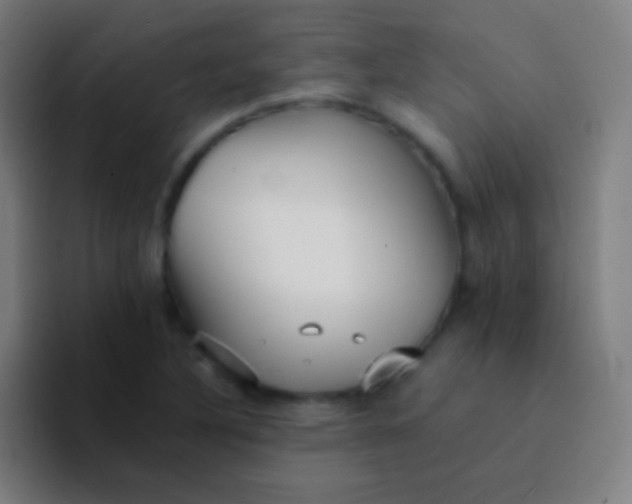 X0000094351316200711162022