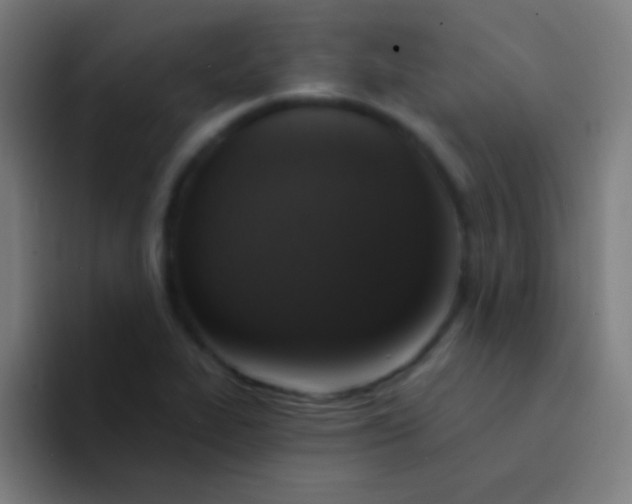 X0000094351319200711162022