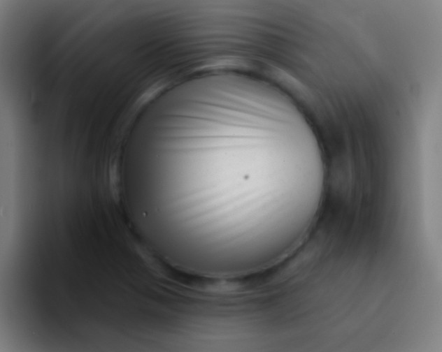 X0000094351321200711162022