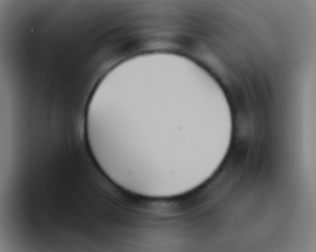 X0000094351322200711162022