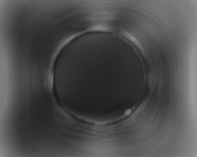 X0000094351323200711162022