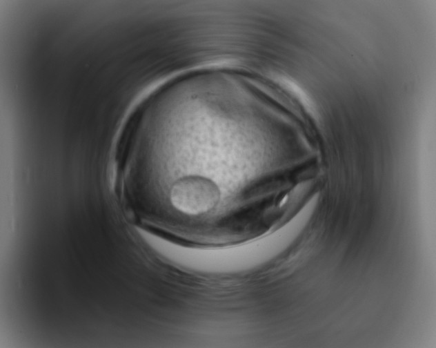 X0000094351324200711162022