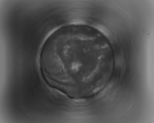 X0000094351325200711162022