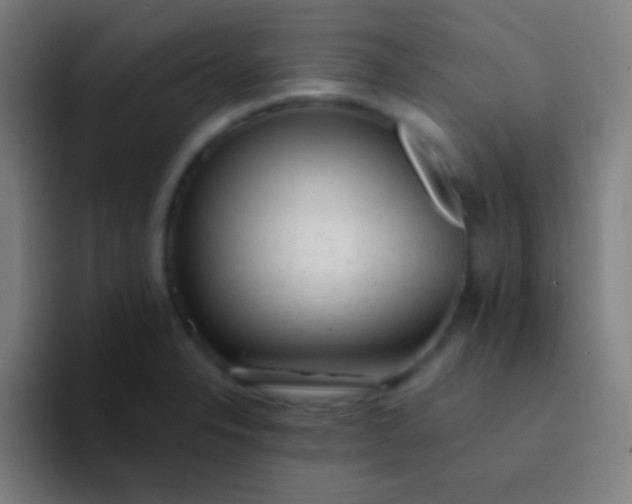 X0000094351326200711162022