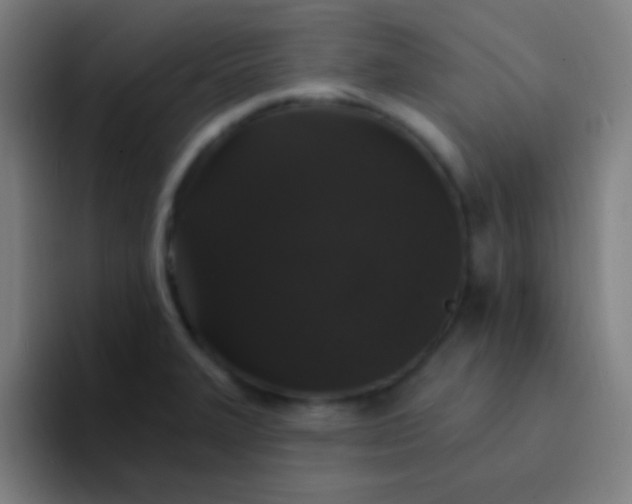 X0000094351327200711162022