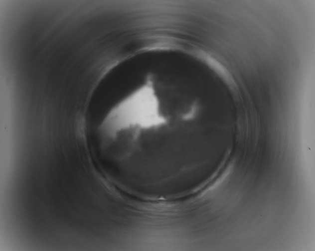 X0000094351329200711162022