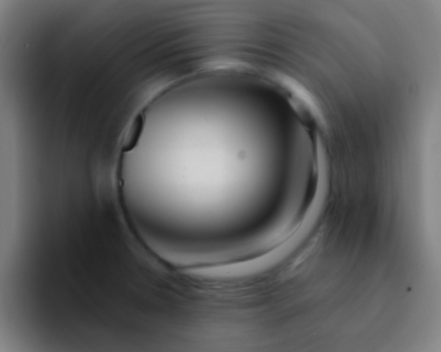 X0000094351330200711162022