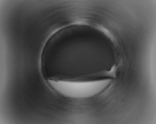 X0000094351331200711162022