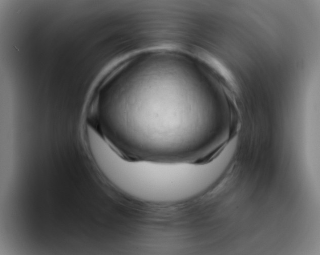 X0000094351332200711162022