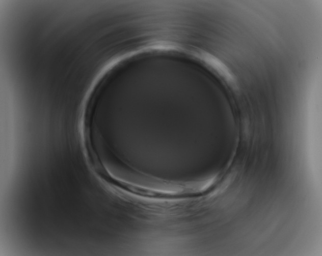 X0000094351334200711162022