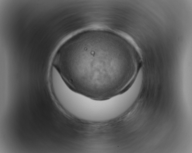 X0000094351335200711162022