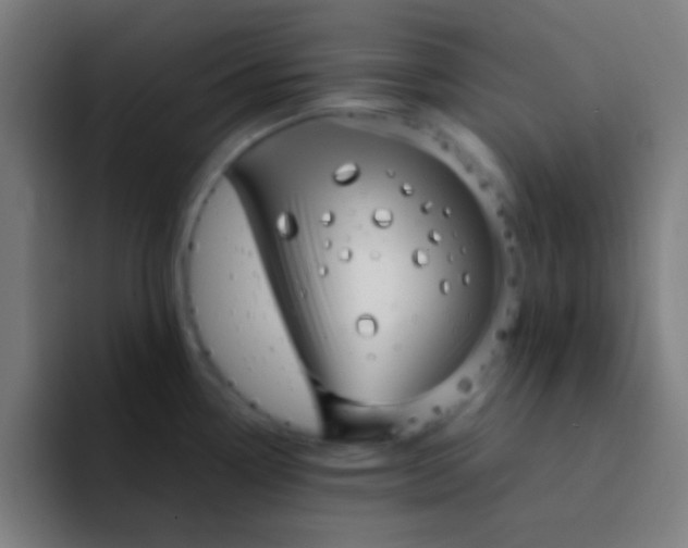 X0000094351338200711162022