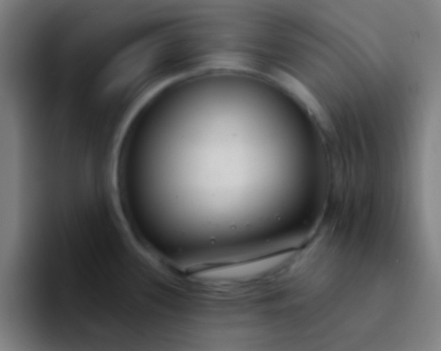 X0000094351339200711162022