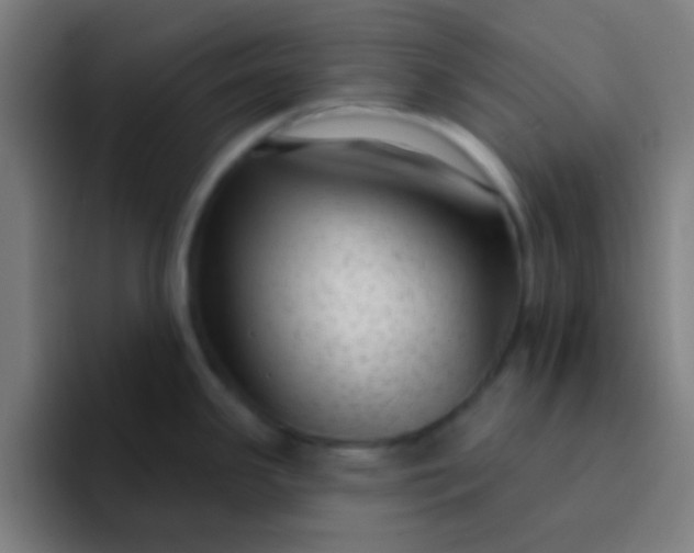 X0000094351341200711162022