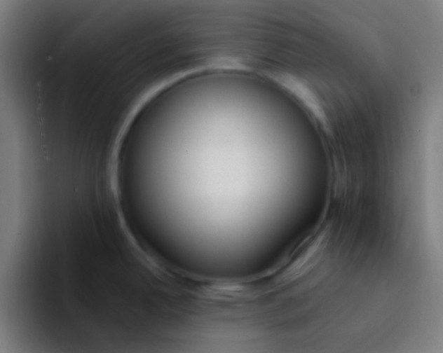 X0000094351342200711162022