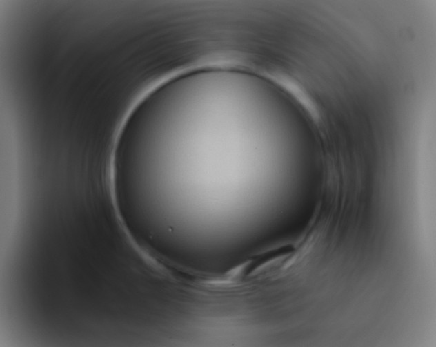 X0000094351343200711162022