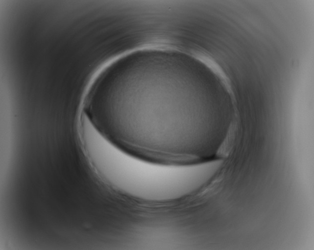 X0000094351344200711162022