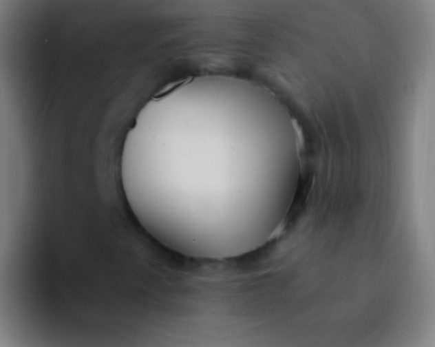 X0000094351345200711162022