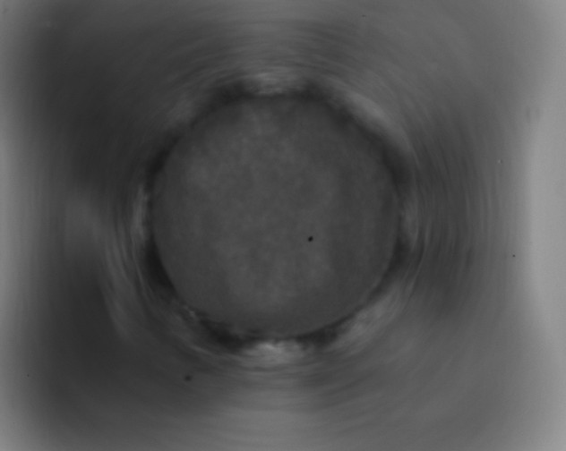 X0000094351346200711162022