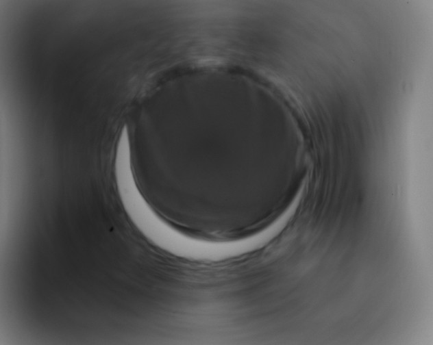 X0000094351348200711162022