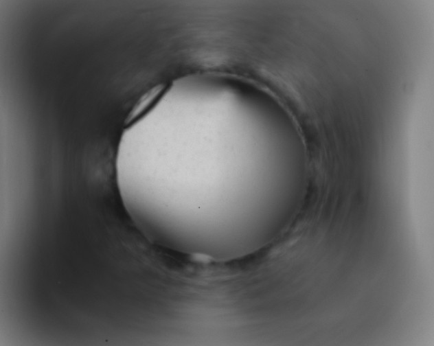 X0000094351349200711162022