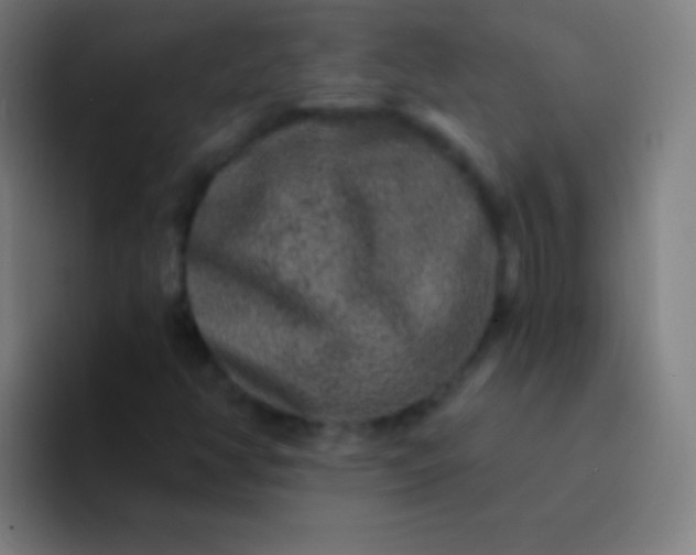 X0000094351350200711162021