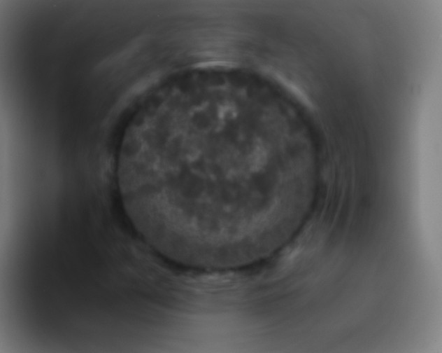 X0000094351351200711162021