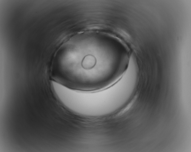 X0000094351353200711162021