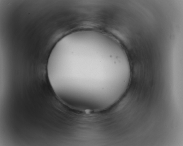 X0000094351355200711162021