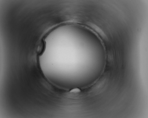 X0000094351356200711162021