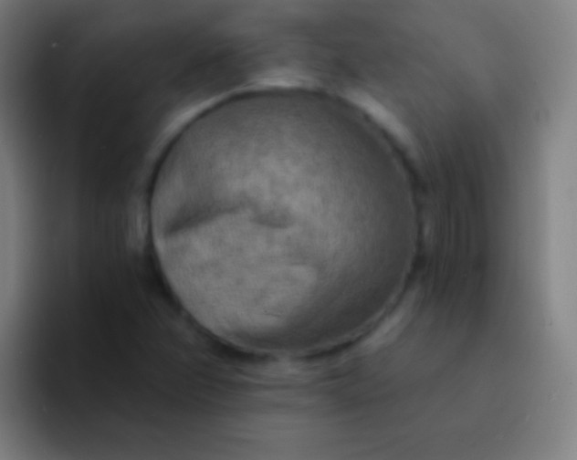 X0000094351358200711162021