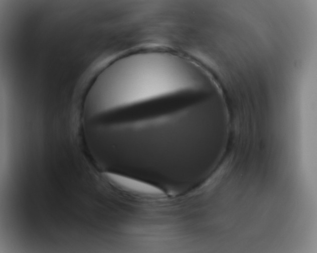 X0000094351359200711162021