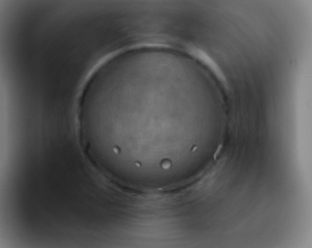 X0000094351360200711162021