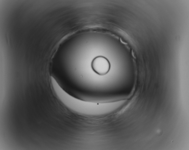 X0000094351361200711162021