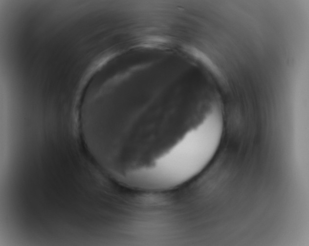 X0000094351362200711162021