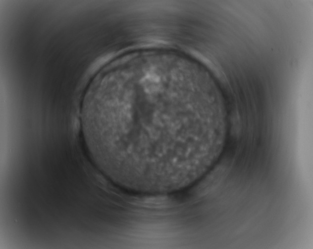 X0000094351363200711162021