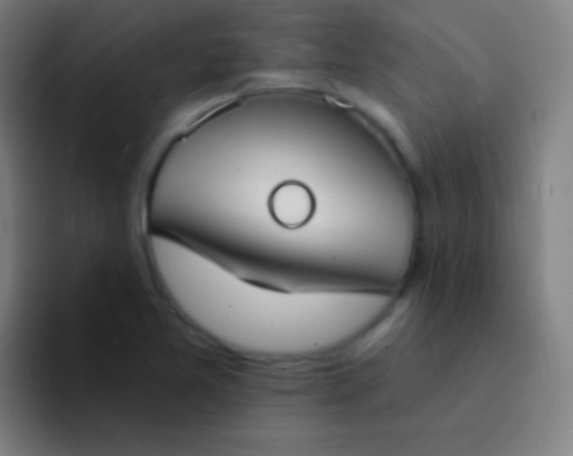 X0000094351365200711162021