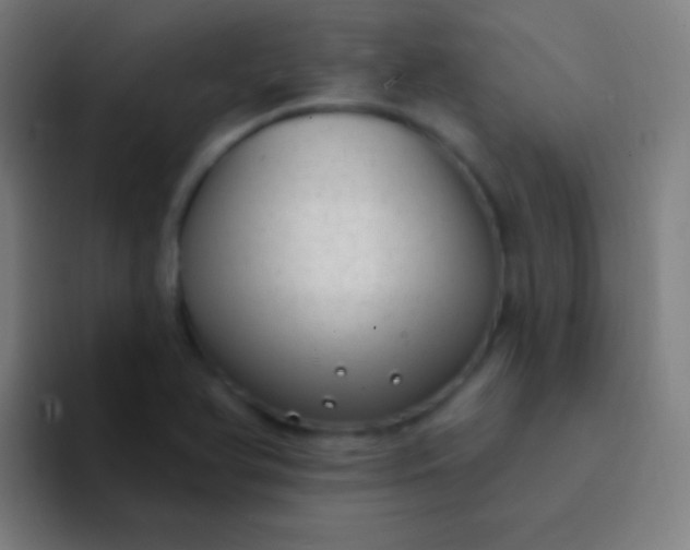 X0000094351366200711162021