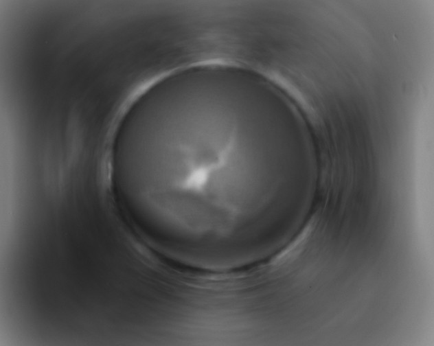 X0000094351367200711162021